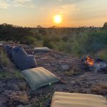 Unser Tipp in der Serengeti – Nimali Mara